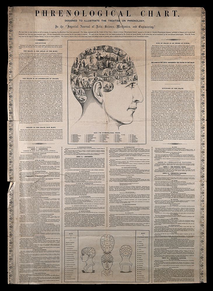 Phrenological chart; with design of head containing symbols of the phrenological 'faculties'. Etching after O.S. Fowler .