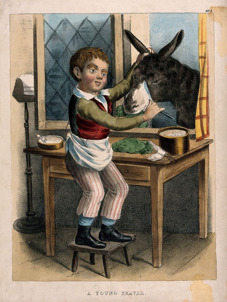 A small boy shaving a donkey. Coloured lithograph.