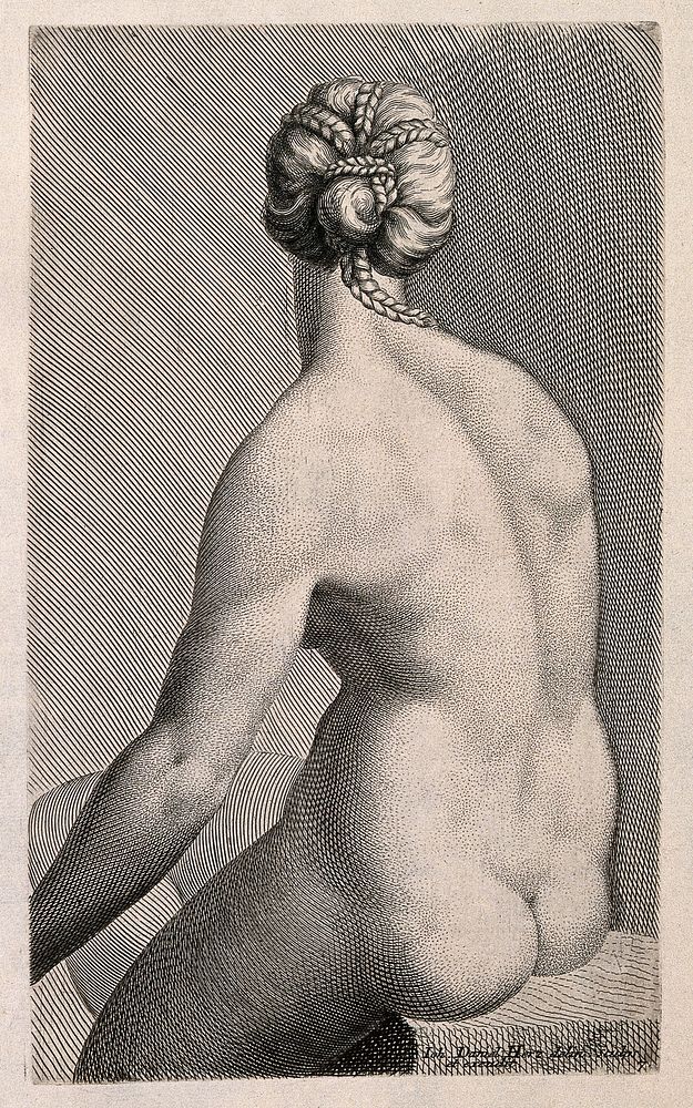 A young nude woman sitting: back view. Engraving by J.D. Herz after himself, c. 1732.