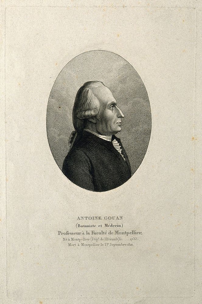 Antoine Gouan. Stipple engraving by A. Tardieu.