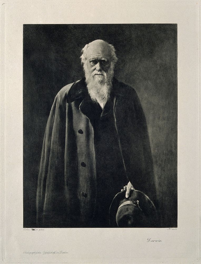 Charles Robert Darwin. Photogravure after the Hon. J. Collier, 1881.