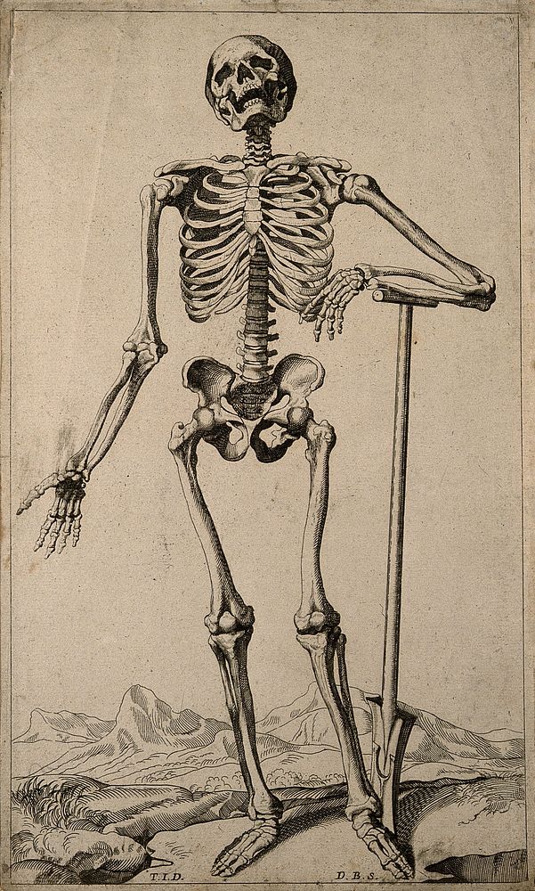 A human skeleton, seen from the front, resting the bones of his lower left arm on a spade handle. Engraving by D. M.…