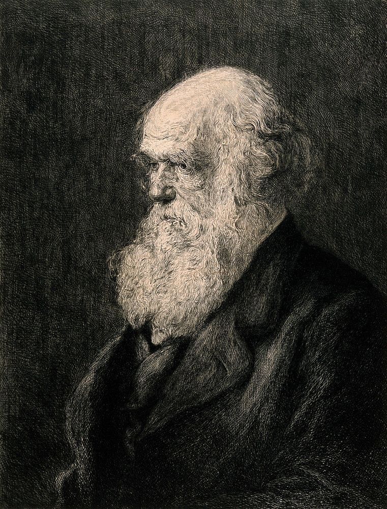 Charles Robert Darwin. Etching by P.A. Rajon, ca. 1877, after W.W. Ouless, 1875.