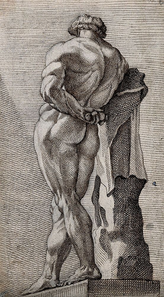 The Farnese Hercules seen from behind. Pen and ink drawing.