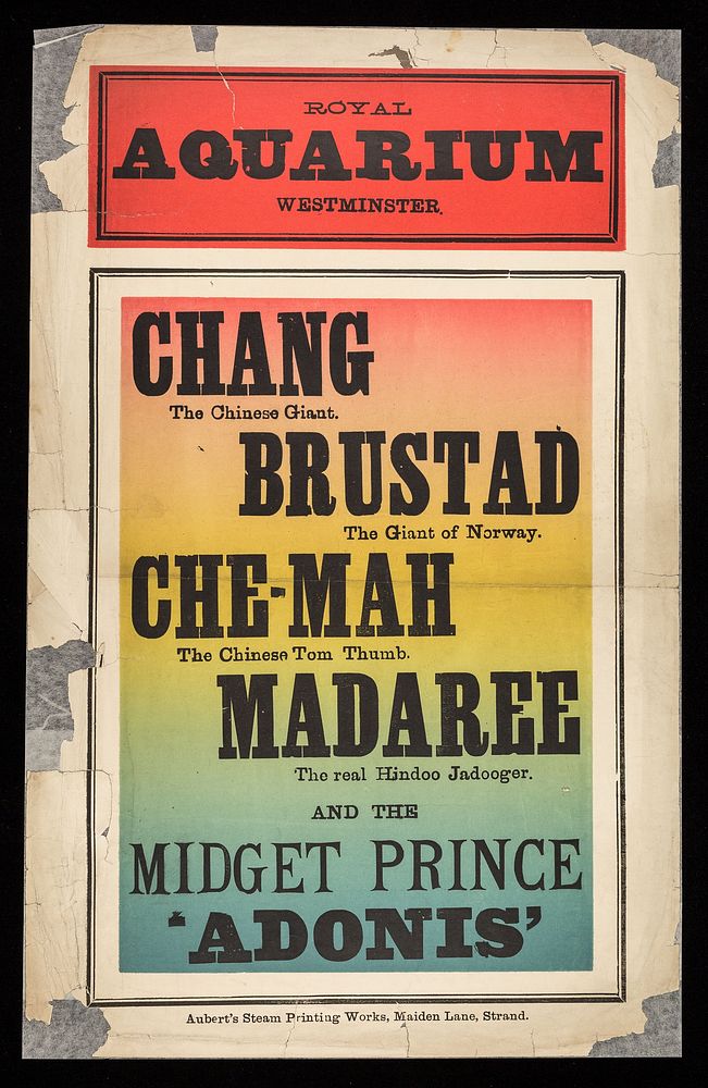 Chang, the Chinese giant : Brustad, the giant of Norway. Che-Mah, the Chinese Tom Thumb. Madaree, the real hindoo jadooger.…