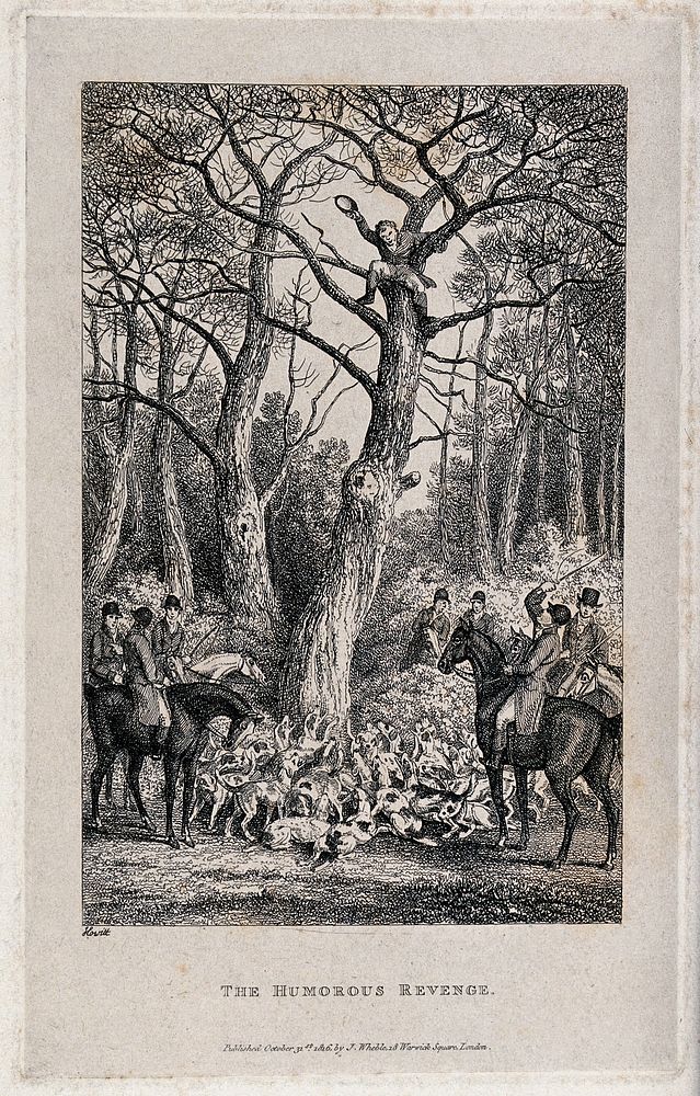 A pack of hounds chases a huntsmen up a tree with the mounted huntsmen looking on. Etching by W. S. Howitt, 1816.
