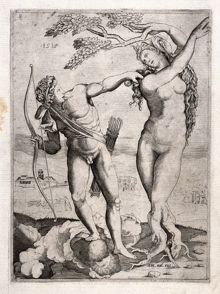 Apollo and Daphne. Engraving, 1518.