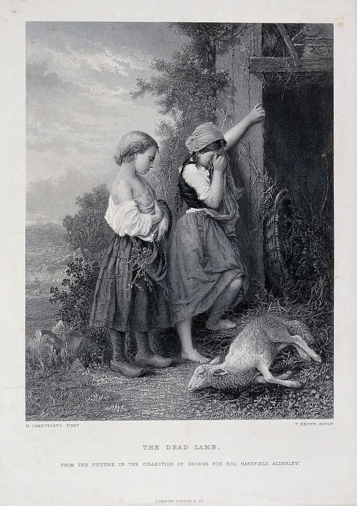 Two girls crying over a dead lamb. Etching with line engraving by T. Brown after H. Campotosto.