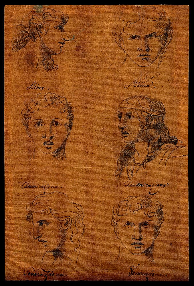 Six faces expressing human passions: profiles and frontal views of admiration, desire and veneration. Pen drawing after C.…
