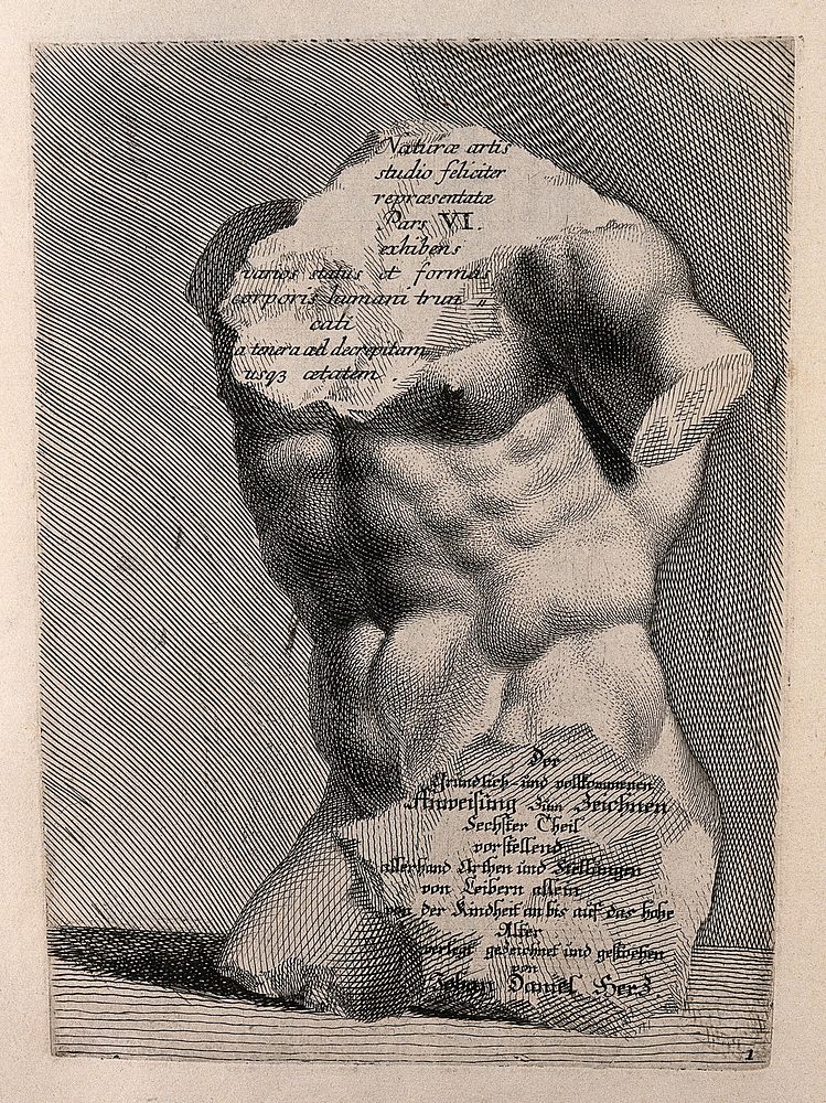 A chipped statue of a torso. Engraving by J.D. Herz after himself, c. 1732.