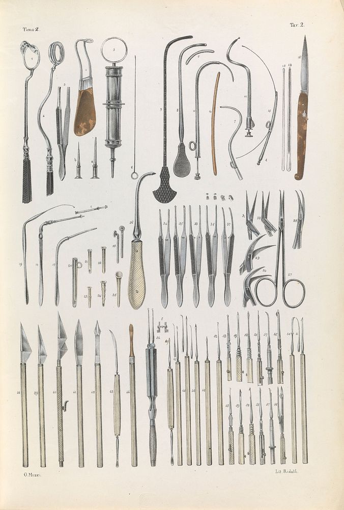 Iconografia d'anatomia chirurgica e di medicina operatoria / [Jean Baptiste Marc Bourgery].