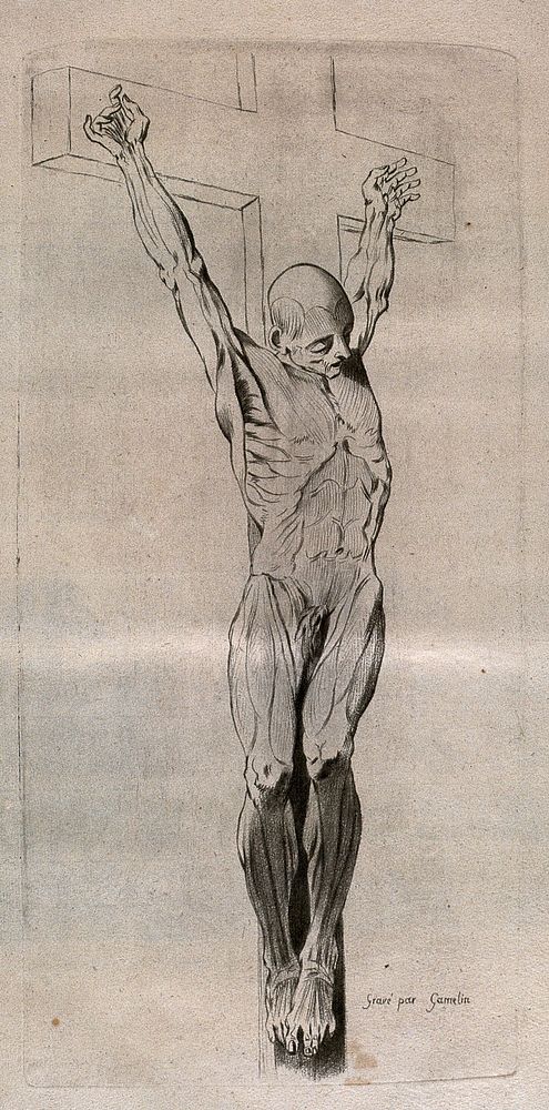 A crucified écorché figure. Crayon manner print by J. Gamelin after himself, 1778/1779.
