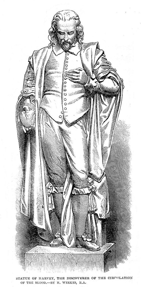 Statue of William Harvey by H. Weeks.