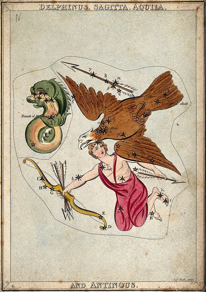 Astrology: signs of the zodiac. Coloured engraving.