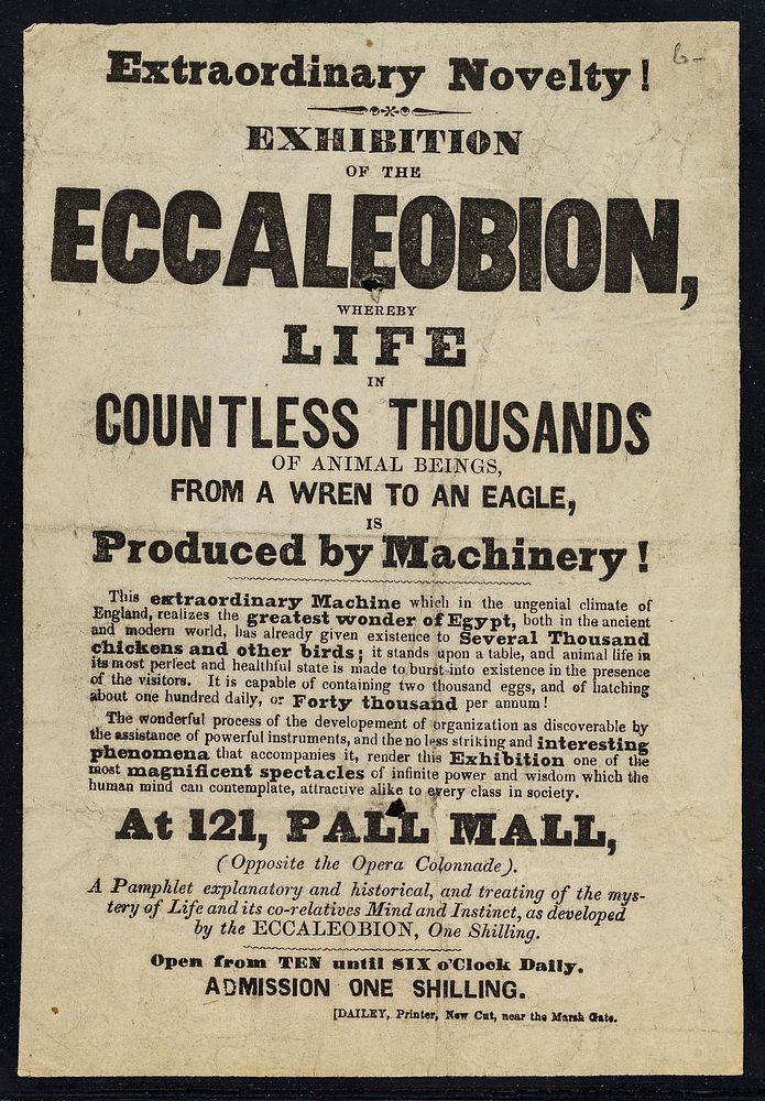 Extraordinary novelty! : exhibition of the Eccaleobion whereby life in countless thousands of animal beings, from a wren to…