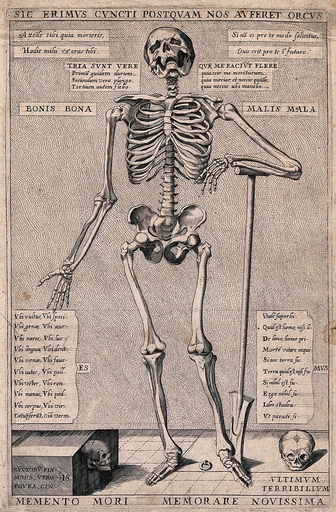 A skeleton as a reminder of death. Etching.