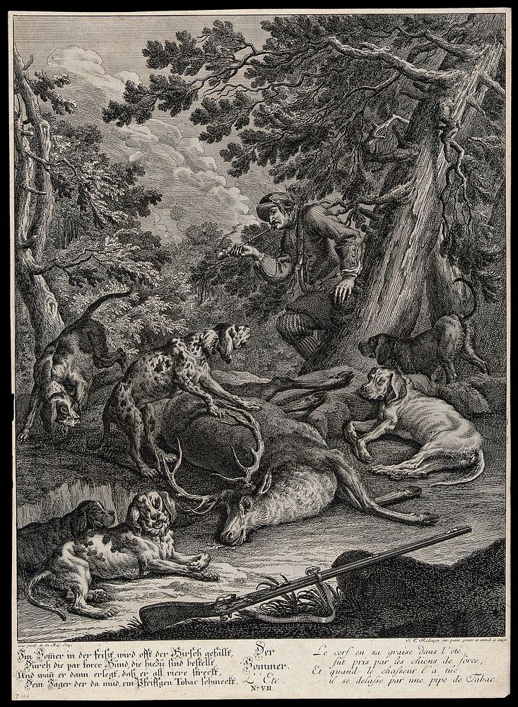 A pack of hunting hounds is resting next to a dead stag while the huntsman is leaning on a tree smoking a pipe. Etching by…