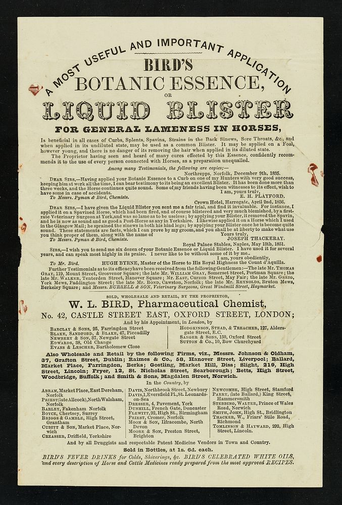 A most useful and important application : Bird's Botanic Essence, or Liquid Blister : for general lameness in horses... /…