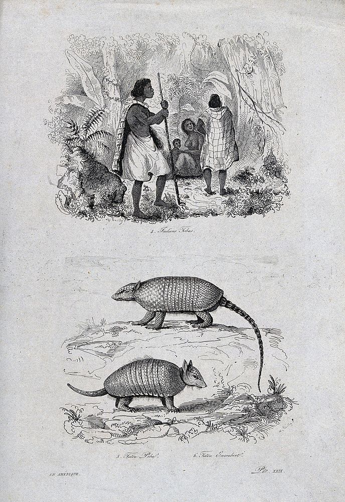 Above, Native Americans returning from a hunt chewing a tobacco-like substance; below, two armadillos. Etching.