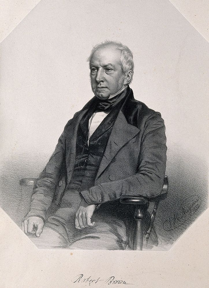 Robert Brown. Lithograph by T. H. Maguire, 1850.