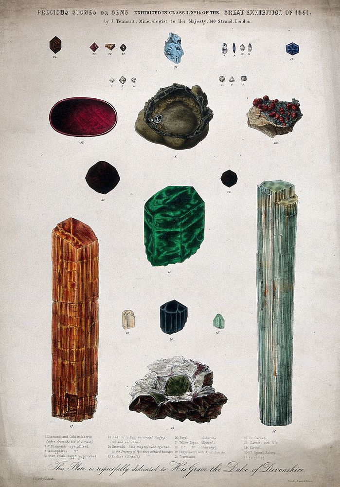 Geology: various uncut semi-precious stones. Coloured lithograph by H. Sowerby after himself, 1851.