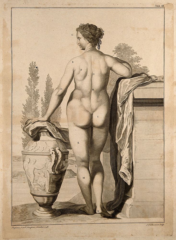 Superficial anatomy of the woman: posterior view. Engraving by S.F. Ravenet after G. Bidloo, 1748.