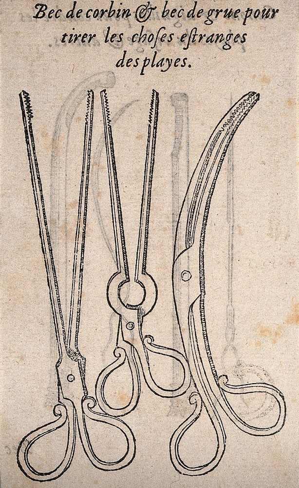 Three pairs of surgical forceps, used to remove foreign bodies. Woodcut, 1560/1600.