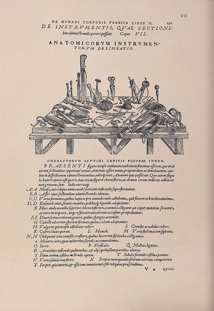 Anatomical instruments on a table used for vivisection. Photolithograph, 1940, after a woodcut, 1543.