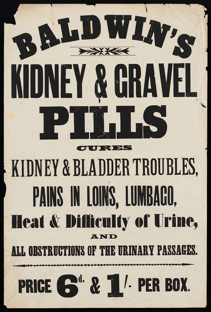 Baldwin's Kidney & Gravel Pills : cures kidney & bladder troubles, pains in loins, lumbago, heat & difficulty of urine, and…