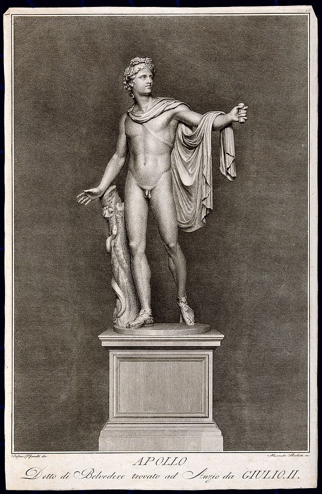 Apollo Belvedere. Engraving by A. Mochetti after S. Tofanelli.