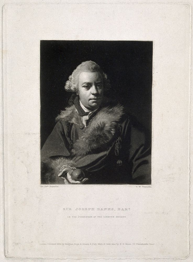Sir Joseph Banks. Mezzotint by S. W. Reynolds, 1834, after Sir J. Reynolds.