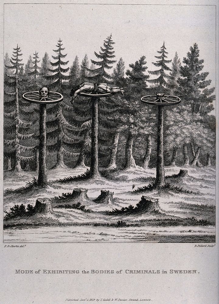 A head, a hand and a torso of a criminal, each deposited on a cartwheel on top of a stripped tree-trunk. Engraving by R.…