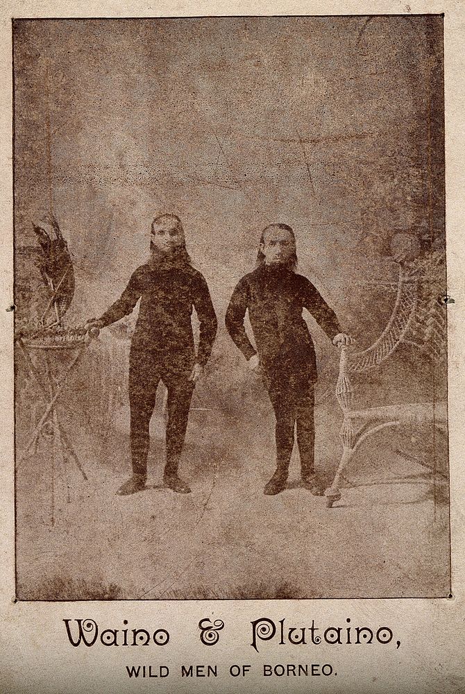 Waino and Plutaino, known as the wild men of Borneo. Reproduction of a photograph.