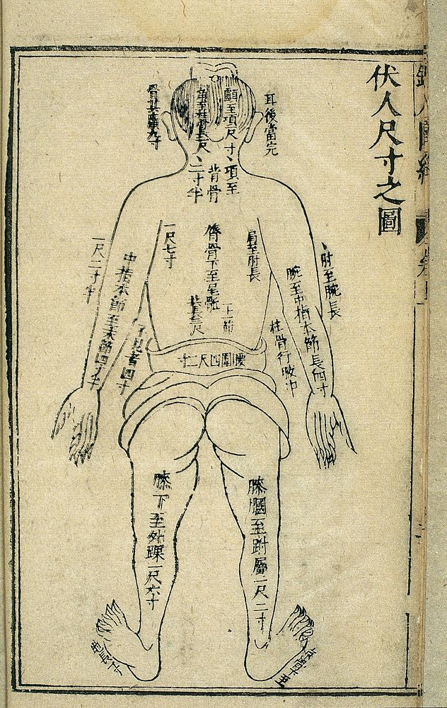 Body measurements, back view, Chinese woodcut, 1443