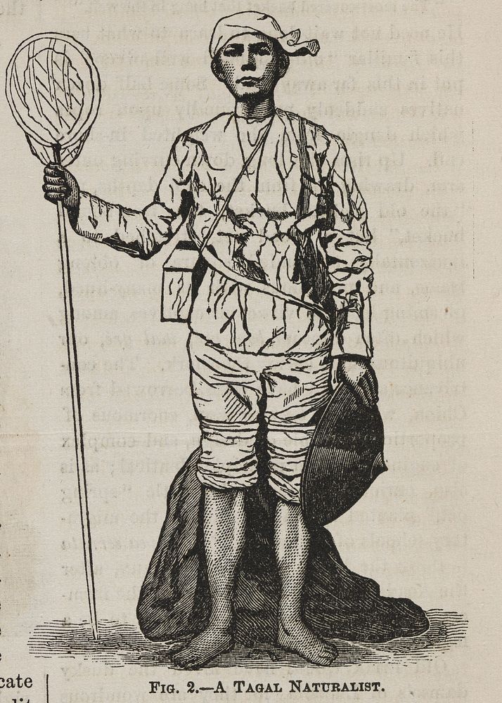 Fig. 2 - A Tagal Naturalist. The phrenological journal, 1871.