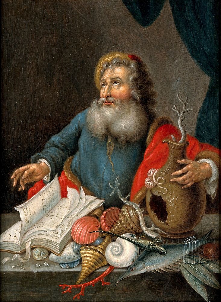 A man with coral, shells, fish, and a book. Oil painting by a German  painter, 17th  century.