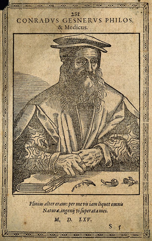 Conrad Gesner. Woodcut, 1565.
