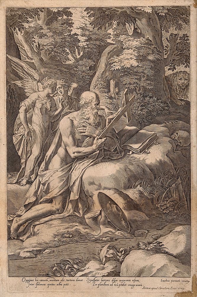 Saint Jerome. Engraving by C. Cort, 1577, after G.F.M Mazzola, il Parmigianino.