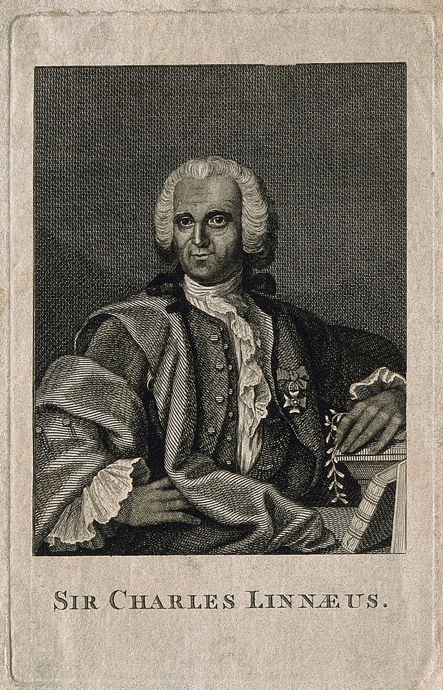 Carolus Linnaeus. Line engraving after G. Lundberg, 1751.