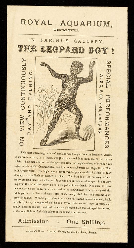 [Undated handbill (December 1881) for the Royal Aquarium advertising Farini's (William Hunt) wonder of wonders, the tattooed…