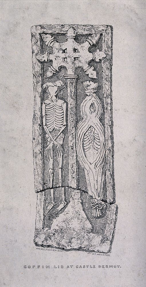 The lid of a coffin at Castle Dermot, decorated with two skeletons. Etching by Mrs. D.T. after Mrs. W.J. Hooker.