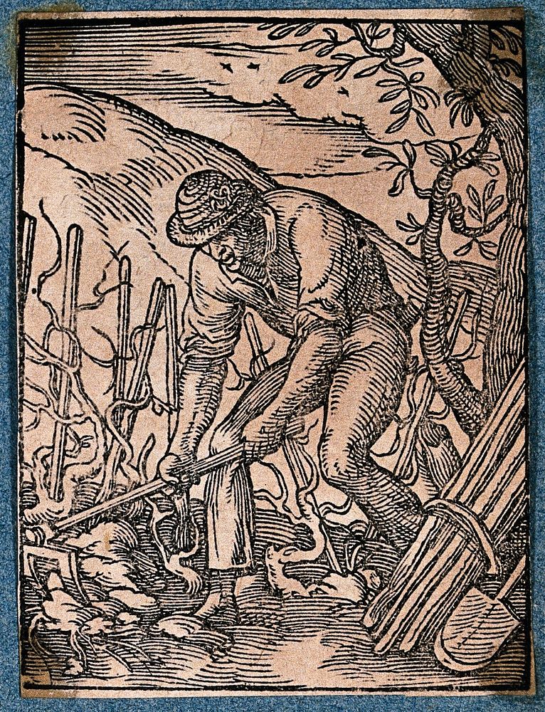 A vineyard worker hoeing the ground in preparation for planting vines. Woodcut by J. Amman.