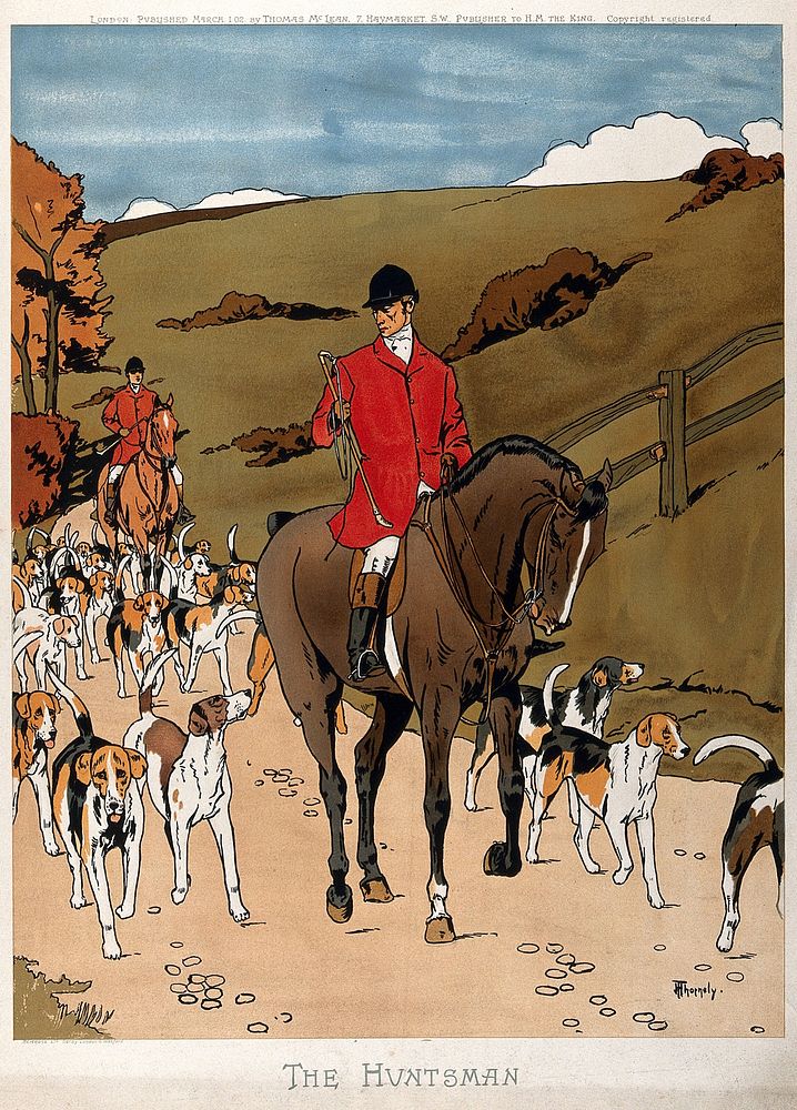 A huntsman on his horse, surrounded by a pack of hounds. Colour lithograph, by H. Thornely, 1902.