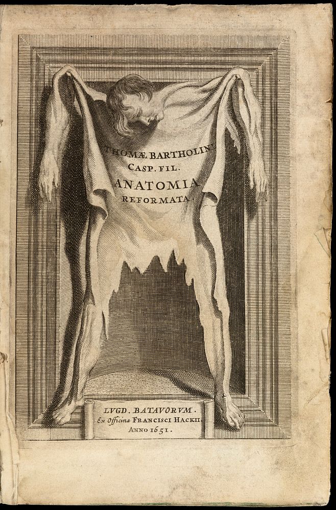 Anatomia, ex Caspari Bartholini parentis Institutionibus, omniumque recentiorum et propriis observationibus tertiùm ad…