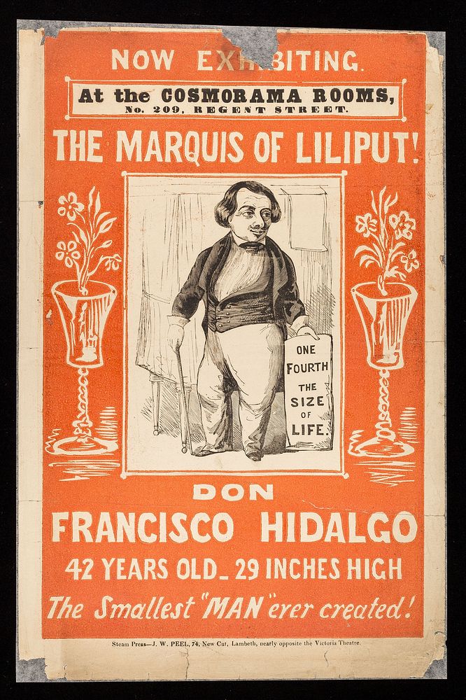 Now exhibiting : at the Cosmorama Rooms, No. 290, Regent Street : The Marquis of Liliput! Don Francisco Hidalgo 42 years old…