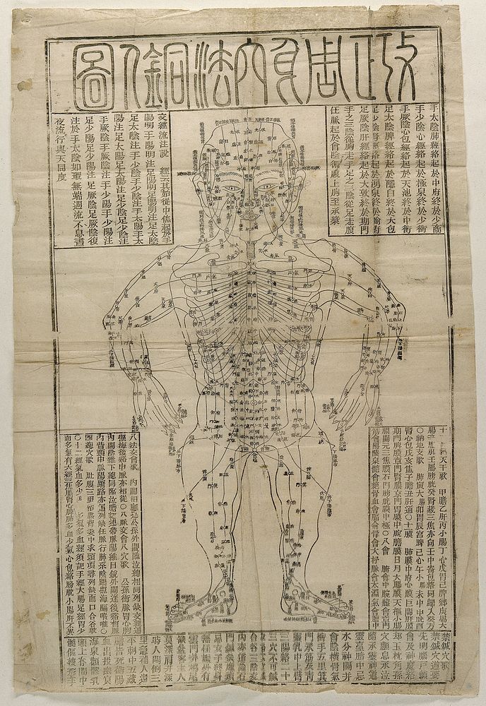 Frontal view of human body, showing a circulatory system and nodes for acupuncture. Woodcut by Chinese artist.