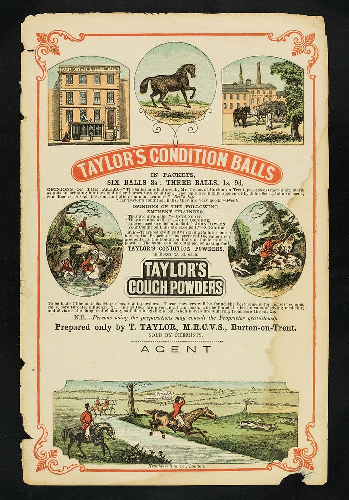 Taylor's condition balls : in packets : six balls 3s; three balls, 1s. 9d... / Prepared only by T. Taylor.