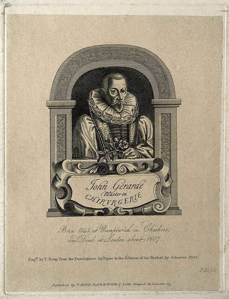 John Gerard. Line engraving by T. Berry after J. Payne, 1633.