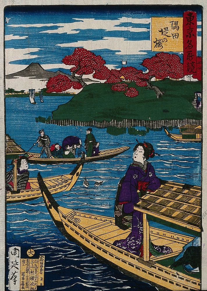 The cherry trees of the Sumida embankment; a ferry conveys passengers from the city on the west bank; two women in the…