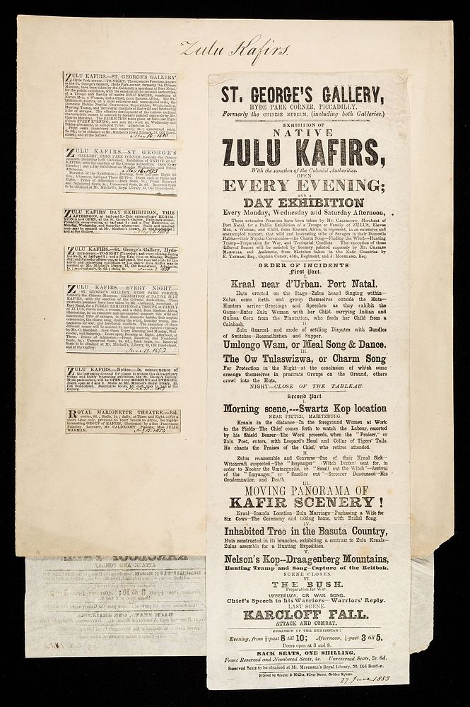 Zulu Kafirs : Exhibition of native Zulu Kafirs, with the sanction of the colonial authorities ... / St. George's Gallery…